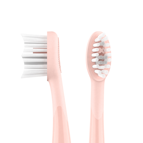 Ordo Sonic Brush Heads Rose Gold Pack of 4 Online now