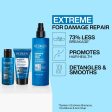 Redken Extreme Strength Repair Discovery Set Fashion