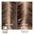 Klorane Galangal Anti-Dandruff Treating Powder Mask 8 x 3g on Sale