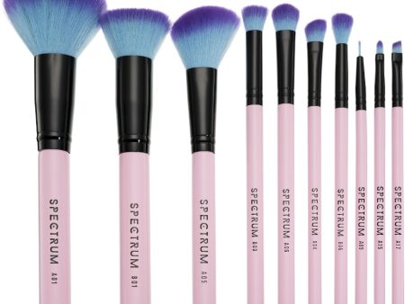 Spectrum Collections 10 Piece Pink Essential Brush Set Supply